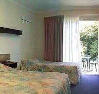 Corlette Palms Motor Inn - Maitland Accommodation