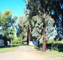 Cudal Caravan Park - Maitland Accommodation