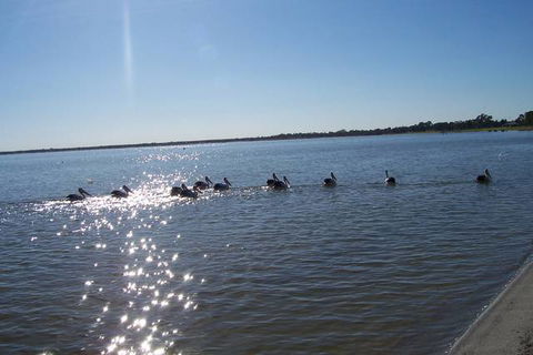 Discovery Holiday Parks - Lake Bonney - Maitland Accommodation 1