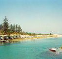 Dunleith Tourist Park - Maitland Accommodation