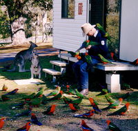 Inland Waters Holiday Parks Burrinjuck - Maitland Accommodation