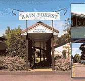 Jefferys Motel  Caravan Park - Maitland Accommodation