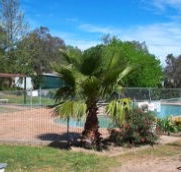 Lake Burrinjuck Leisure Resort - Maitland Accommodation