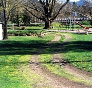 Mongans Bridge Camping Park - Maitland Accommodation