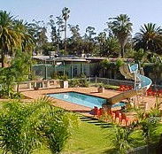Motel Riverina - Maitland Accommodation