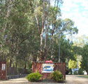 Murraybank Caravan  Camping Park - Maitland Accommodation