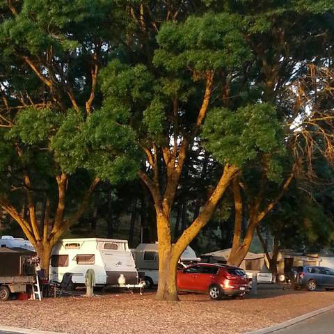 Queen Victoria Jubilee Park - Maitland Accommodation 0