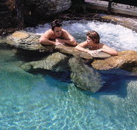 Reef Palms - Maitland Accommodation