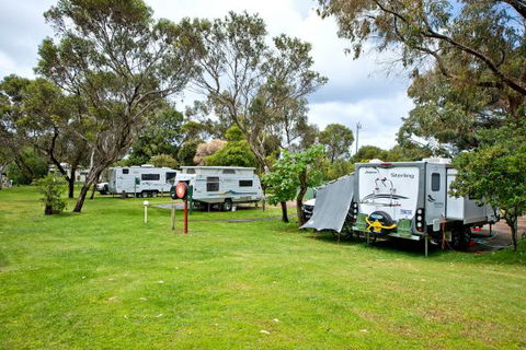 Acclaim Pine Grove Holiday Park - Maitland Accommodation 11