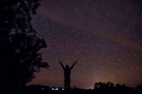 Childers Eco-lodge - Maitland Accommodation 5