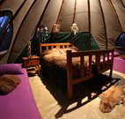 Aranyani Bison Adventure Tourist Park - Maitland Accommodation