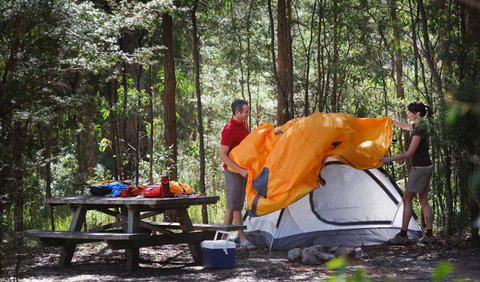 Bald Rock Campground And Picnic Area - Maitland Accommodation 0