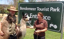 Bendemeer Tourist Park - Maitland Accommodation 0