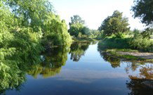 Bendemeer Tourist Park - Maitland Accommodation 5