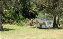 Culcairn Caravan Park - Maitland Accommodation 1
