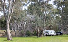 Culcairn Caravan Park - Maitland Accommodation 0