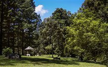 Dingo Tops Campground - Maitland Accommodation 2