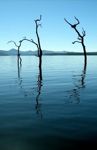 Tinaroo Lake Resort - Holiday Apartments - Maitland Accommodation 11