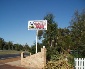 Pinjarra Cabins And Caravan Park - Maitland Accommodation 2