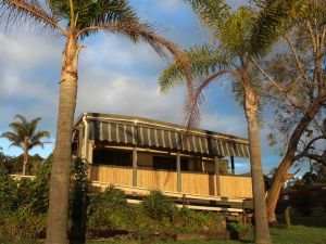 Aloha Caravan Park - Maitland Accommodation 3