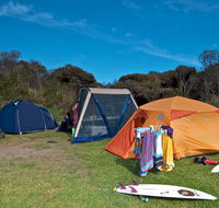 Frazer campground - Maitland Accommodation