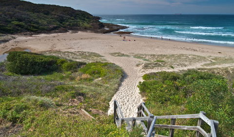 Frazer Campground - Maitland Accommodation 2