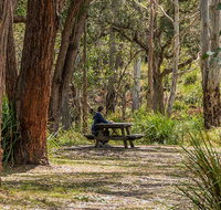 Koreelah Creek campground - Maitland Accommodation