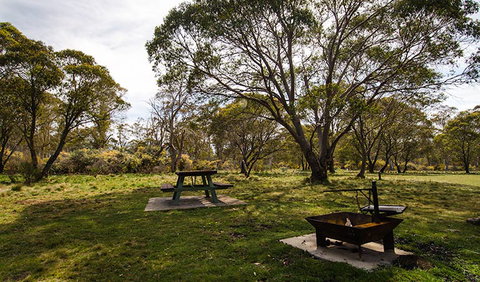 Little Murray Campground - Maitland Accommodation 0