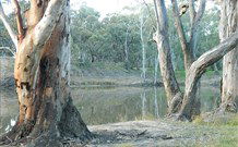 Mclean Beach Holiday Park - Maitland Accommodation 5