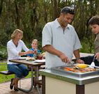 Port Stephens Treescape - Maitland Accommodation