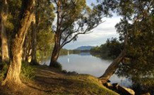 South West Rocks Tourist Park - South - Maitland Accommodation 0