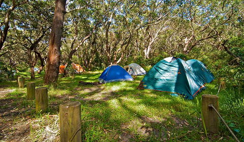 Yagon Campground - Maitland Accommodation 2