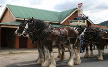 Araluen Valley Hotel - Araluen - Maitland Accommodation 0
