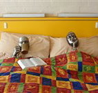 Budget Winchester Motel - Moree - Maitland Accommodation