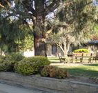 Hamilton Hume Motor Inn - Yass - Maitland Accommodation