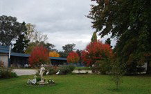 Holbrook Settlers Motel - Holbrook - Maitland Accommodation 0