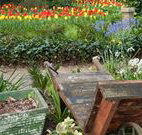 The Carrington Inn - Maitland Accommodation