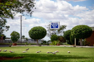 Quilpie Motor Inn - Maitland Accommodation 4