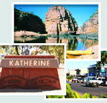 Red Gum Tourist Park - Maitland Accommodation