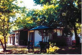 Forest Lodge - Maitland Accommodation 0