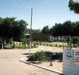 Shoreline Caravan Park - Maitland Accommodation