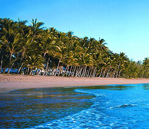 Novotel Palm Cove Resort - Maitland Accommodation 1