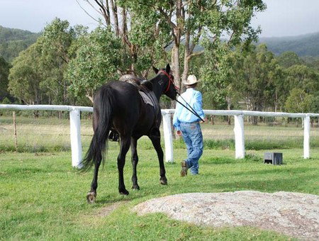 Cherrabah Resort - Maitland Accommodation 2