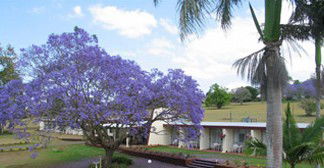 Atherton Motel - Maitland Accommodation 1