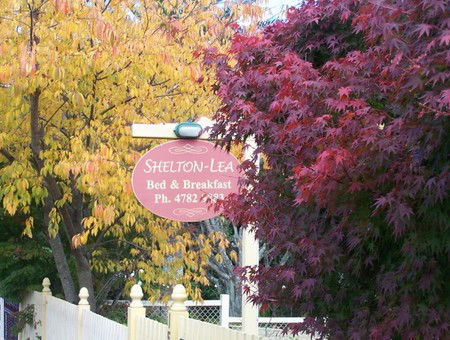 Shelton-lea Bed & Breakfast - Maitland Accommodation 0