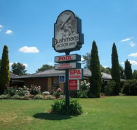 Bushmans Motor Inn - Maitland Accommodation