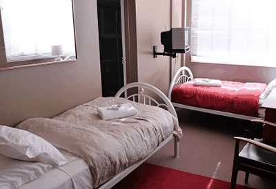 Edinburgh Gallery Bed And Breakfast - Maitland Accommodation 3