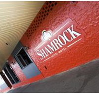 Shamrock Hotel Motel - Maitland Accommodation