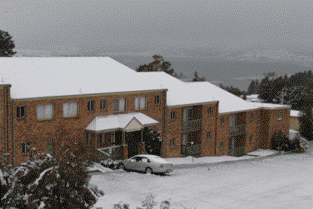 Acacia Snowy Motel - Maitland Accommodation 4