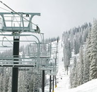 Swagman Chalet - Maitland Accommodation